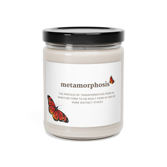 Scented Soy Candle, 9oz