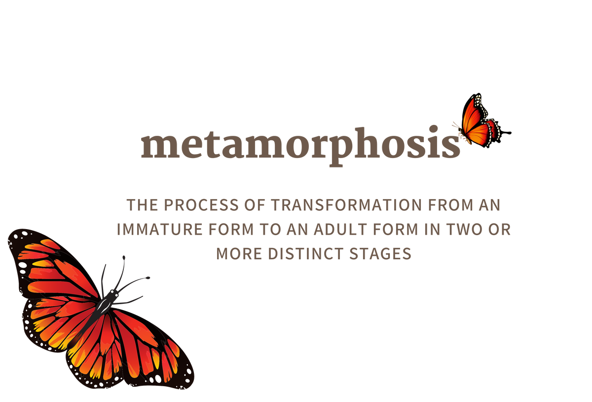 Metamorphosis Tote & Clutch