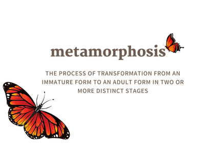 Metamorphosis Tote & Clutch